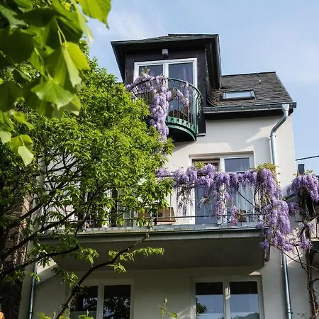 Apart-hotel Ferienresidenz Brauneberger Hof An Der Mosel Nahe Bernkastel-kues 4*