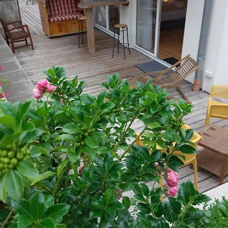 Ferienresidenz Brauneberger Hof An Der Mosel Nahe Bernkastel-kues 4*