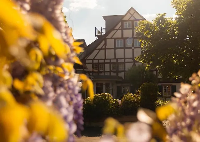 Ferienresidenz Brauneberger Hof Ξενοδοχείο με διαμερίσματα