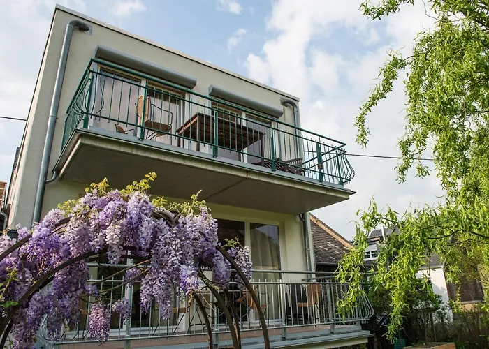 Ferienresidenz Brauneberger Hof Apart-hotel Brauneberg