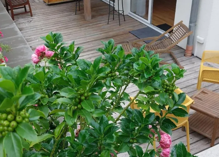 Ferienresidenz Brauneberger Hof 4*