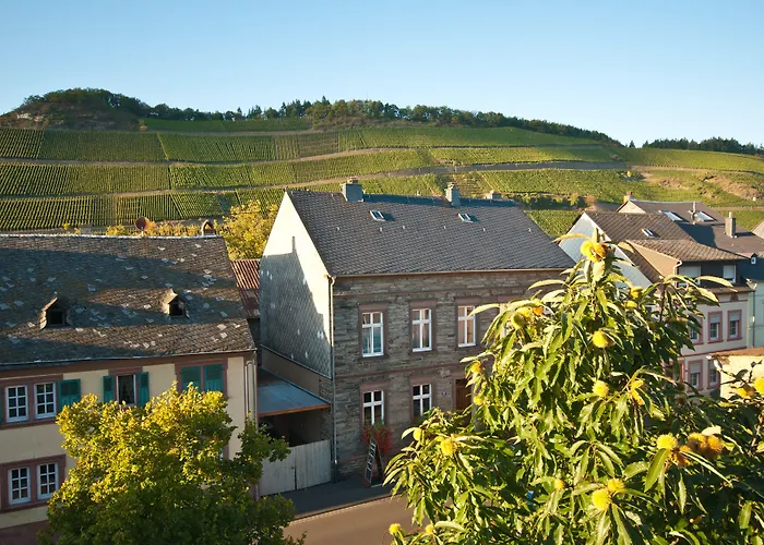 Ferienresidenz Brauneberger Hof מלון דירות